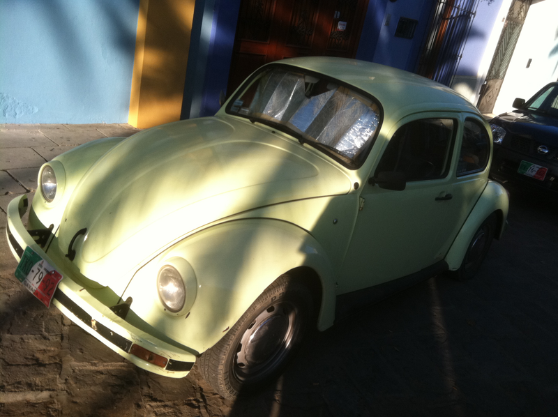 Illustration for article titled An Incomplete Survey of VWs in Oaxaca, Mexico